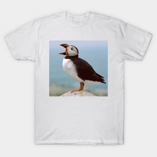 Puffin Profile T-Shirt